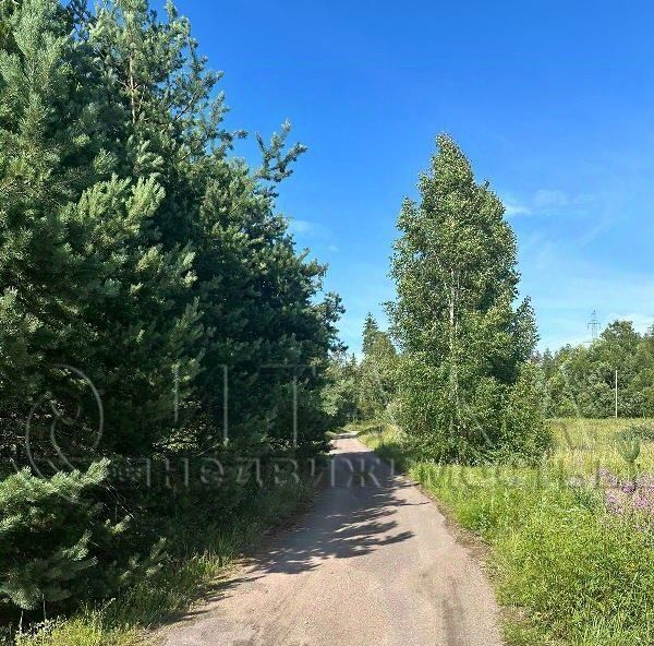 земля р-н Выборгский п Остров Каменногорское городское поселение фото 6