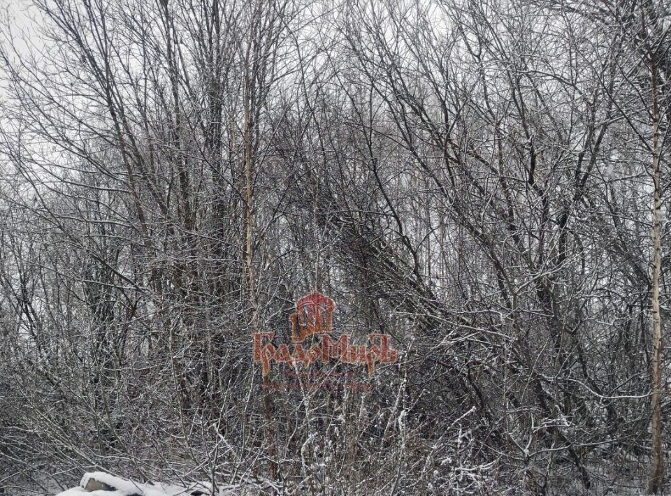 земля городской округ Дмитровский с Вороново фото 1