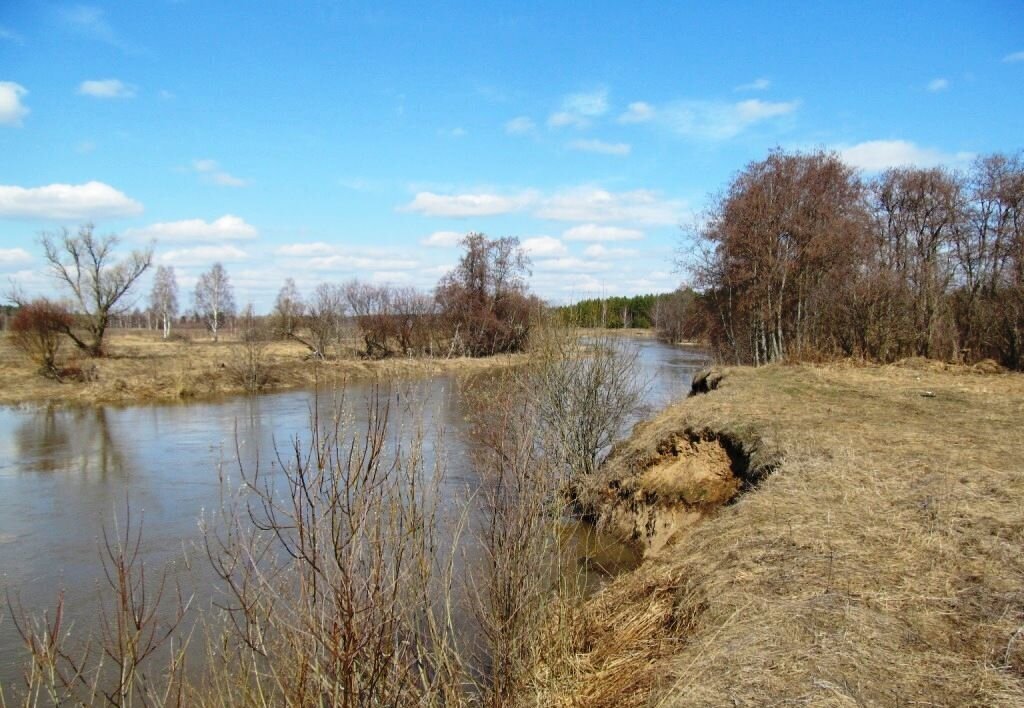 земля р-н Киржачский д Финеево муниципальное образование Першинское, Киржач фото 2