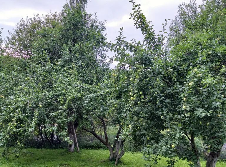 дом г Сортавала п Вуорио Сортавальский муниципальный округ, 27 фото 3