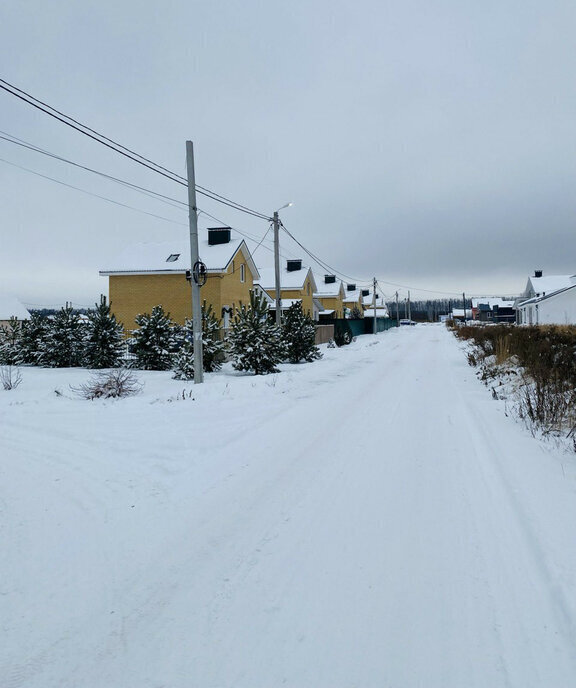 земля р-н Богородский д Каликино Чкаловская, городской округ Бор фото 2