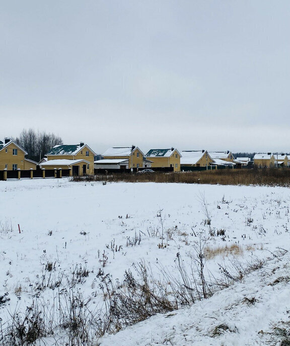 земля р-н Богородский д Каликино Чкаловская, городской округ Бор фото 4