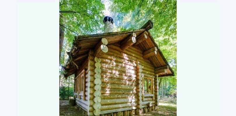 дом городской округ Одинцовский г Звенигород пос. Дома отдыха Связист фото 2