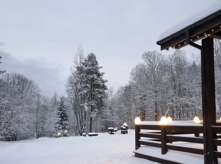 дом р-н Лахденпохский Куркиекское с/пос, Район поселка Куркиеки тер., 19 фото 13