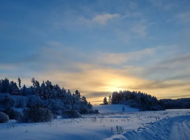 дом р-н Лахденпохский Куркиекское с/пос, Район поселка Куркиеки тер., 19 фото 39