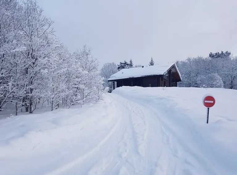 дом р-н Лахденпохский Куркиекское с/пос, Район поселка Куркиеки тер., 19 фото 40