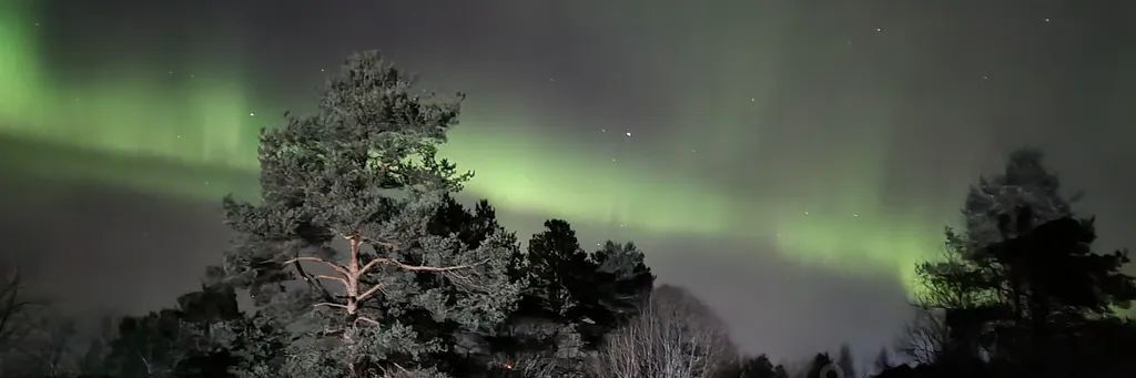 дом р-н Лахденпохский Куркиекское с/пос, Район поселка Куркиеки тер., 19 фото 38