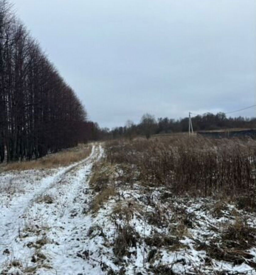 земля р-н Кольчугинский д Литвиново муниципальное образование Кольчугино, Кольчугино фото 6