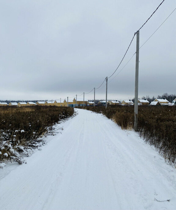 земля р-н Богородский д Каликино Чкаловская, городской округ Бор фото 5