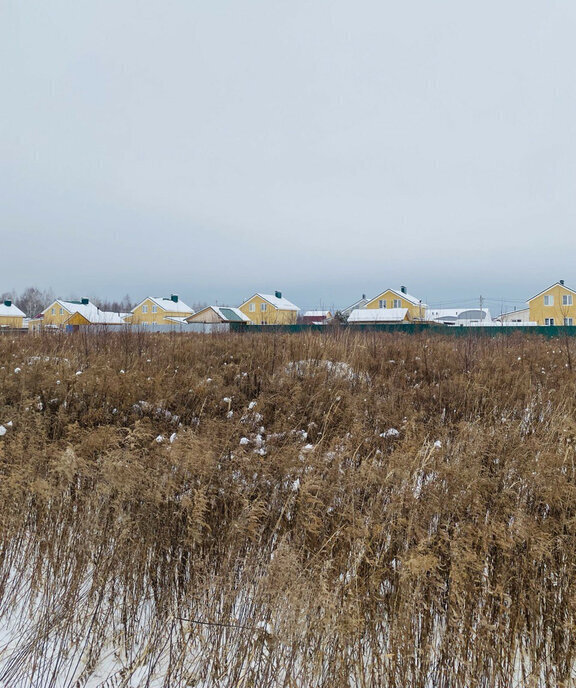 земля р-н Богородский д Каликино Чкаловская, городской округ Бор фото 7