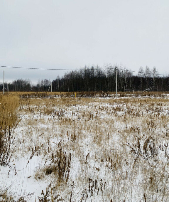 земля р-н Богородский д Каликино Чкаловская, городской округ Бор фото 8