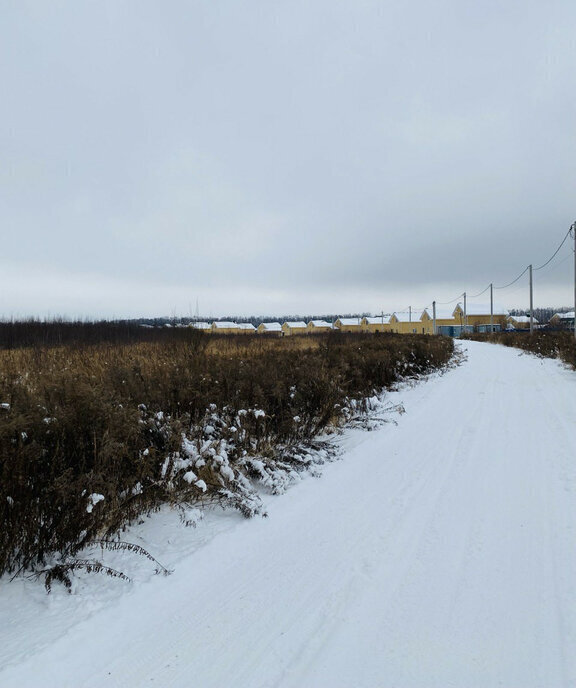 земля р-н Богородский д Каликино Чкаловская, городской округ Бор фото 6