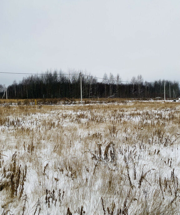 земля р-н Богородский д Каликино Чкаловская, городской округ Бор фото 9