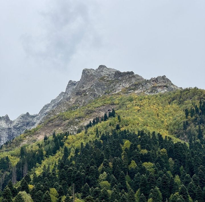 земля г Карачаевск кп Домбай фото 10