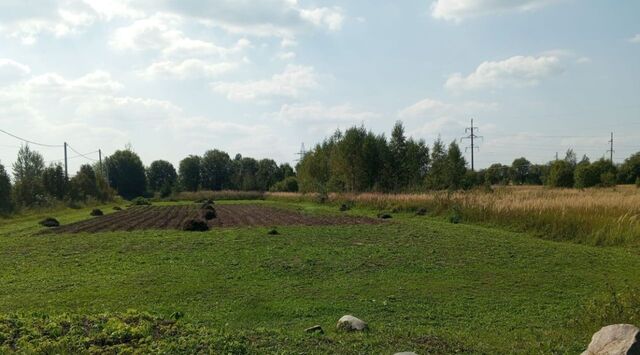 д Легково муниципальное образование, Андреевское фото