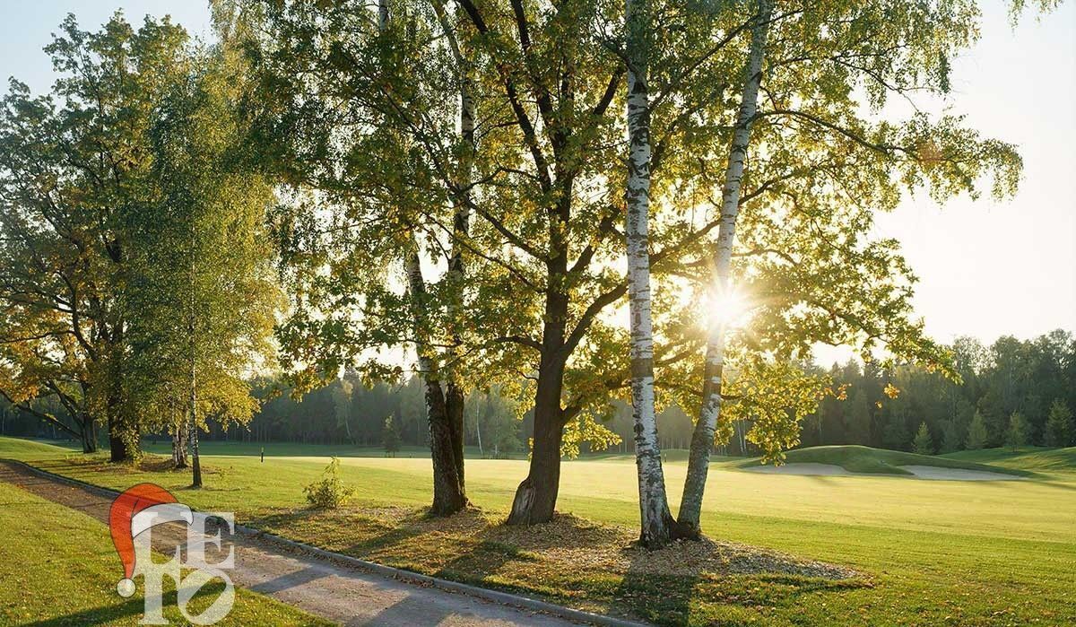 квартира городской округ Мытищи д Румянцево ул Центральная 1 Хлебниково фото 25