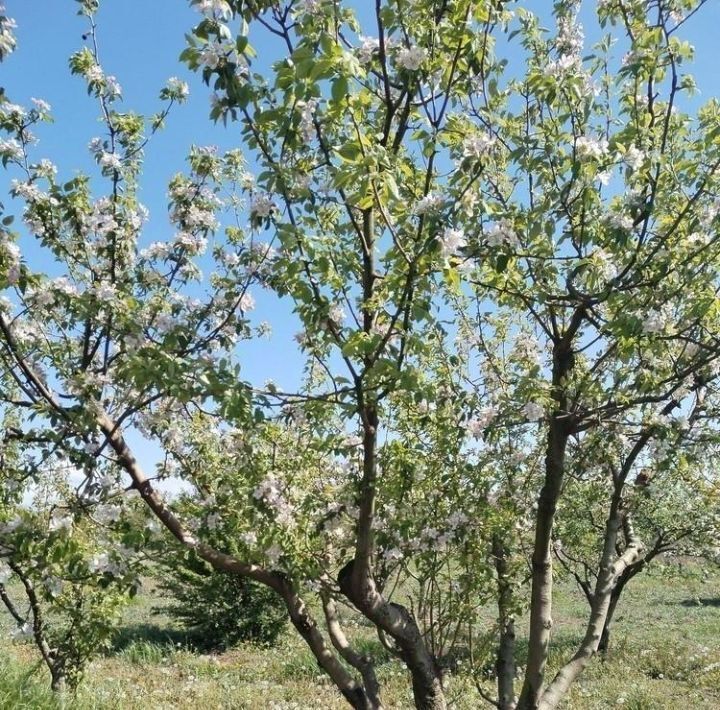 дом р-н Анапский с Юровка Анапа муниципальный округ фото 19