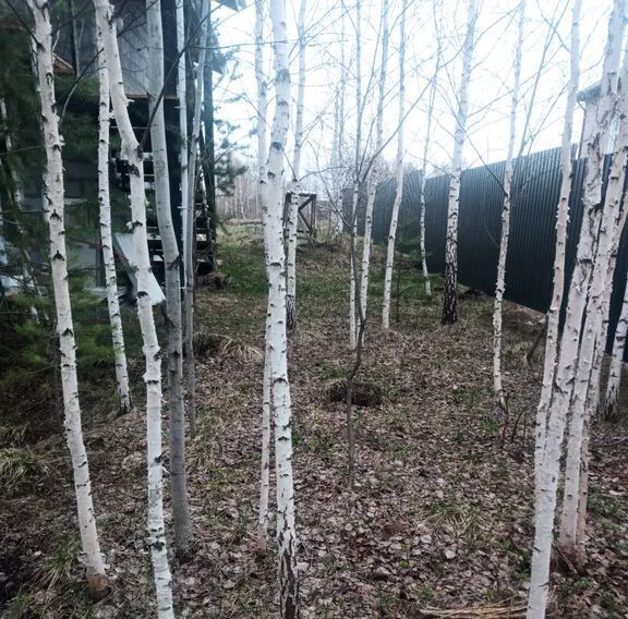 дом р-н Белоярский п Верхнее Дуброво ул Хрустальная 25 фото 21