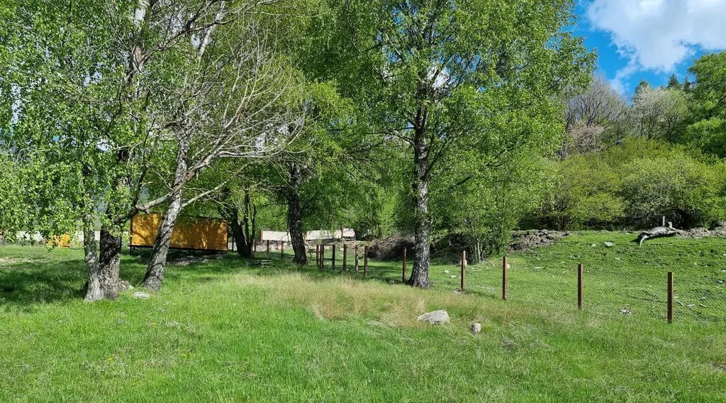 дом г Теберда тер Джамагатское ущелье-2 70 Карачаевский городской округ фото 4