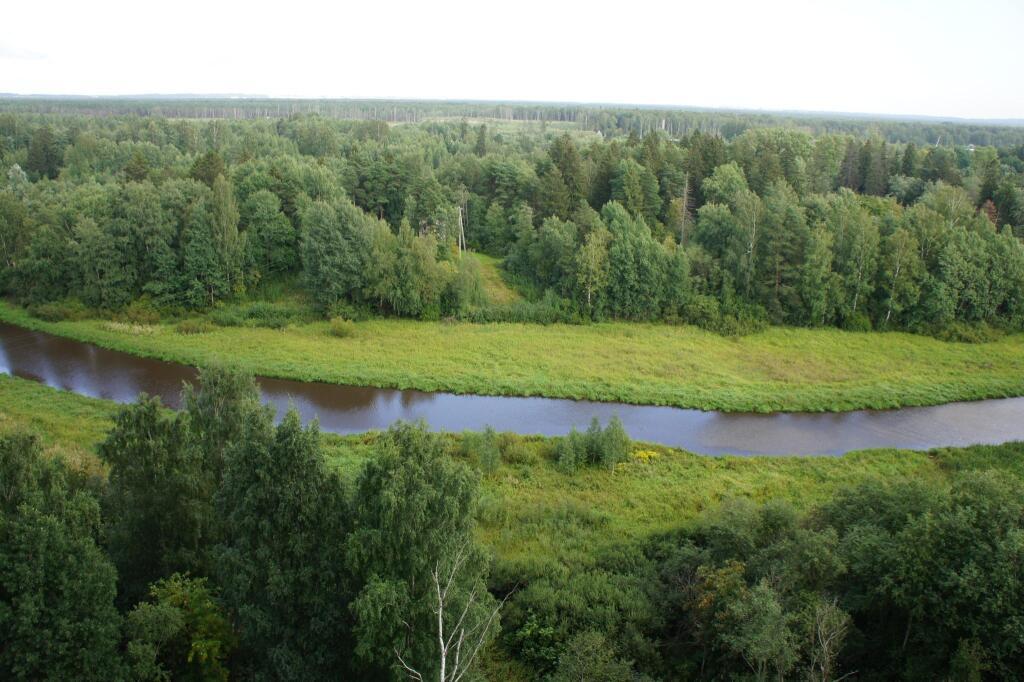 квартира г Санкт-Петербург ул Пейзажная 10 округ Полюстрово фото 12