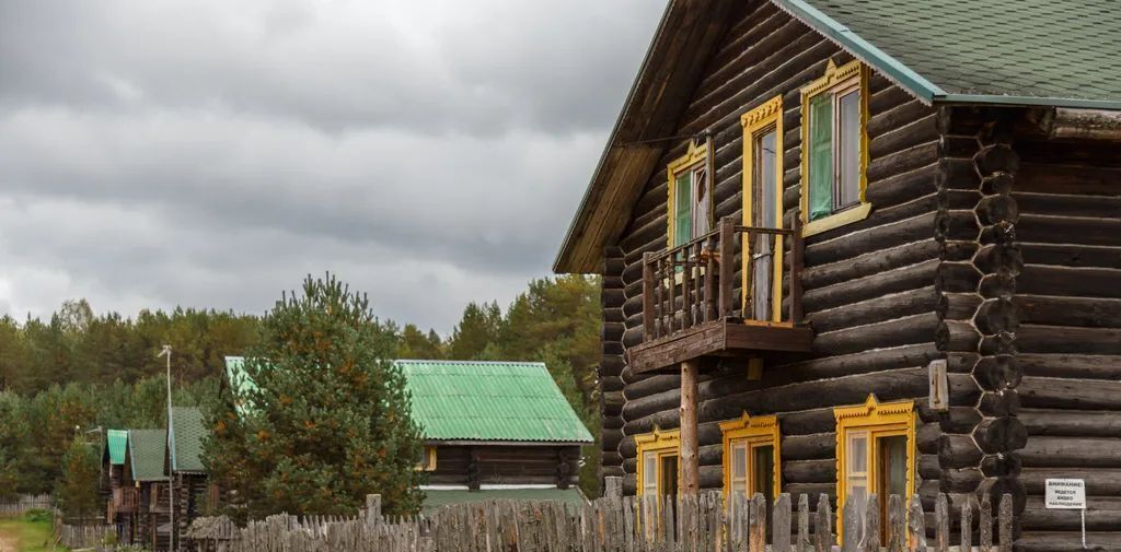 дом р-н Бологовский д Михайловское ул Киногородок 1 Выползовское сельское поселение фото 3