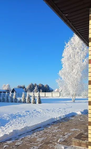 дом р-н Новгородский д Медвежья Голова ул Вечевая 8 Ракомское с/пос фото 2