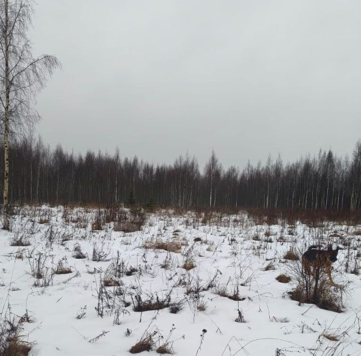 земля р-н Всеволожский г Всеволожск пр-кт Всеволожский Проспект Большевиков фото 10