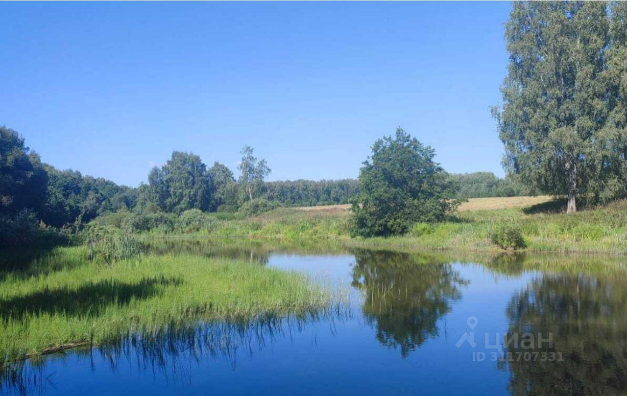 земля городской округ Раменский с Салтыково фото 12