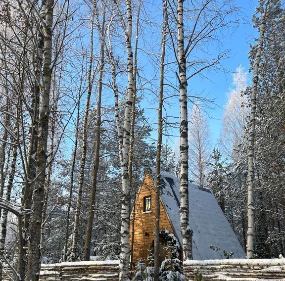 дом р-н Всеволожский г Всеволожск ул Радужная 46/2 фото 26