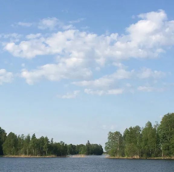 дом р-н Медвежьегорский д Боярщина Великогубское с/пос, д. Жарниково, 10 фото 6