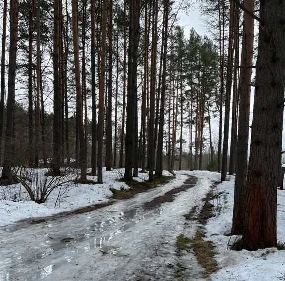 дом р-н Прионежский с Деревянное пер Пионерский 30 фото 25