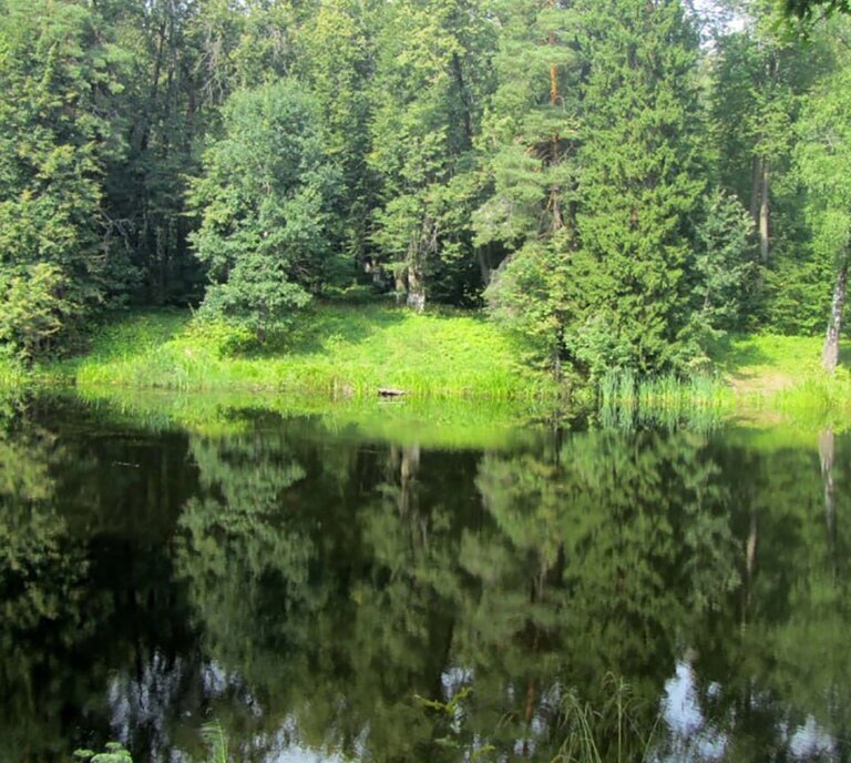 земля городской округ Дмитровский д Федоровка коттеджный посёлок Подъячево ИЖС фото 4