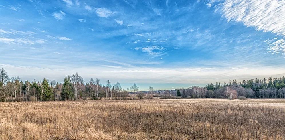 земля г Москва п Новофедоровское Апрелевка, № 191 кв-л фото 5