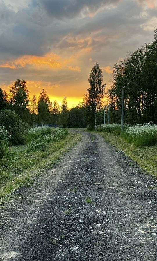 земля направление Рижское (северо-запад) ш Новорижское 107 км, коттеджный пос. Пойма Рузы-3, Шаховская фото 1