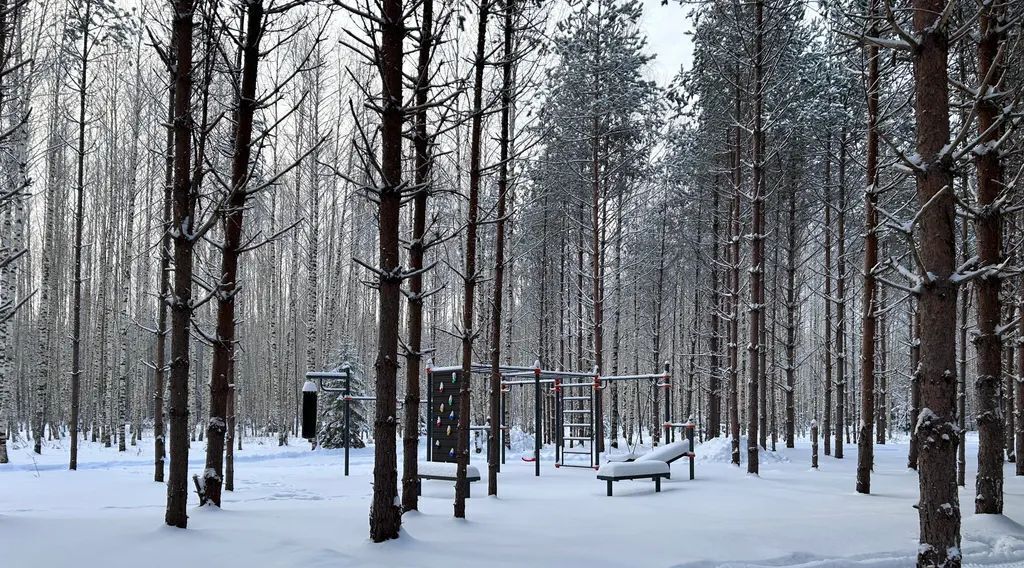 дом р-н Весьегонский г Весьегонск д Крешнево 12 фото 22