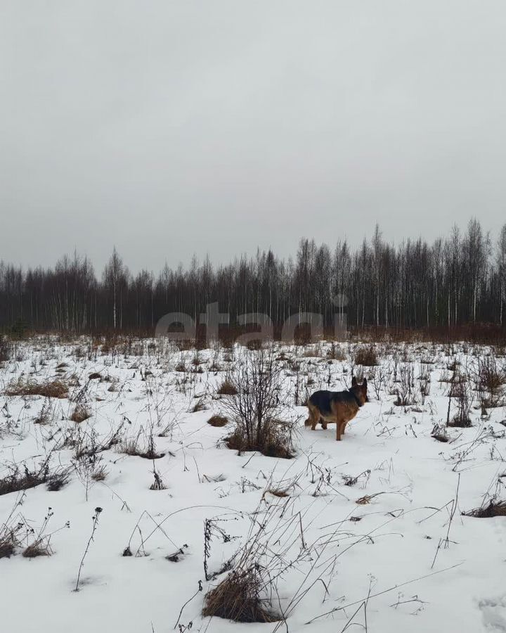 земля р-н Всеволожский г Всеволожск пр-кт Всеволожский Дорога жизни, 8 км, Всеволожское городское поселение фото 11