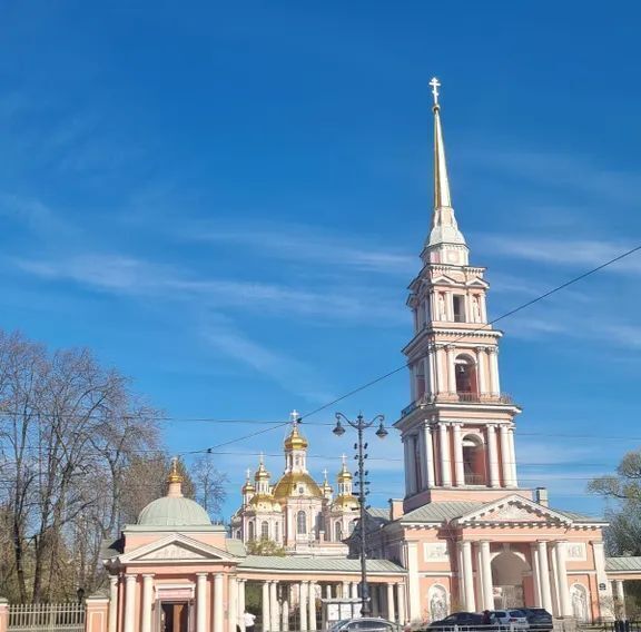 квартира г Санкт-Петербург метро Обводный Канал 1 пр-кт Лиговский 141б фото 21