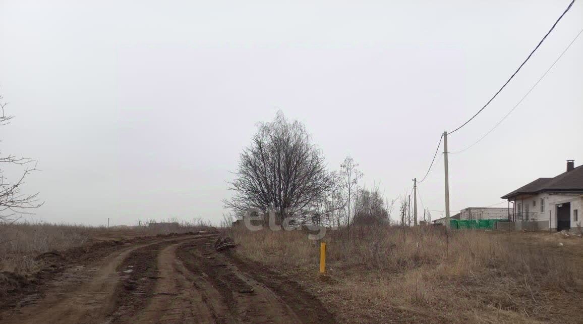 земля р-н Белгородский с Крутой Лог ул Виноградная Крутологское с/пос фото 1