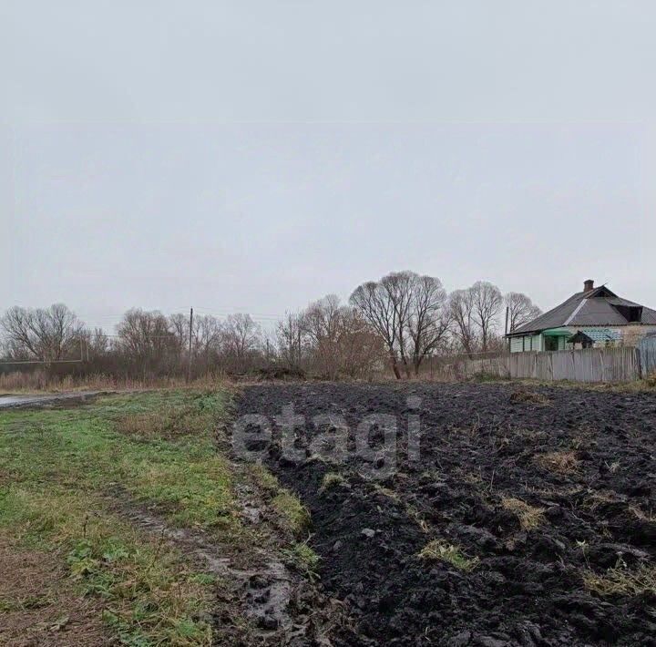 земля р-н Белгородский с Хохлово ул Луговая Хохловское с/пос фото 4