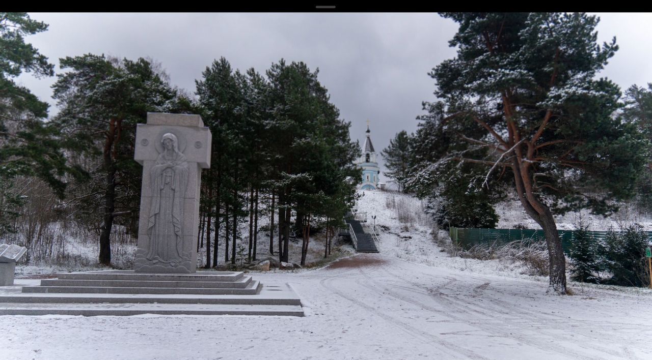 земля р-н Выборгский п Ермилово ул Физкультурная Приморское шоссе, 66 км, Приморское городское поселение, Приморск фото 18