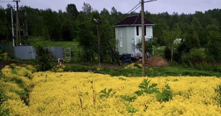 земля р-н Выборгский п Первомайское пос, Приречное СНТ, проезд Школьный фото 9