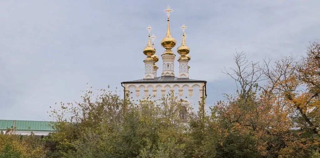 дом р-н Суздальский г Суздаль ул Набережная 12 фото 18