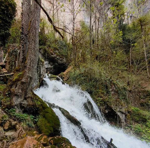 комната р-н Апшеронский п Мезмай ул Клубная 19 фото 10