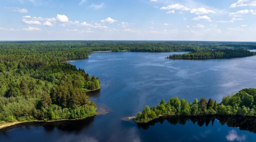 дом р-н Пряжинский д Лахта Ведлозерское с/пос, 12 фото 24