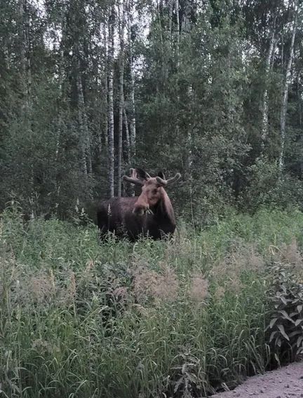 дом р-н Всеволожский снт Родничковое Всеволожское городское поселение, 379 фото 31