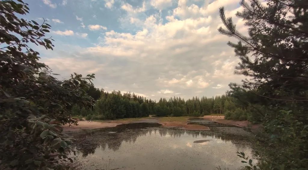 дом р-н Всеволожский снт Родничковое Всеволожское городское поселение, 379 фото 29