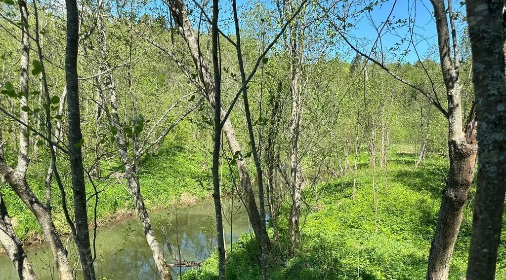 дом городской округ Дмитровский д Шадрино 210 фото 22