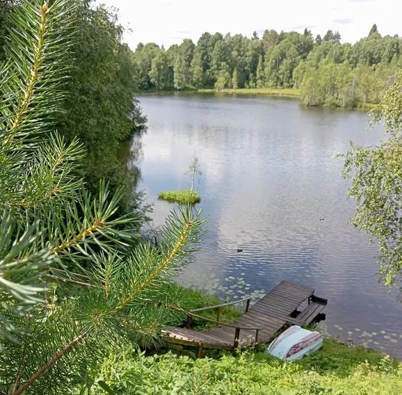 дом р-н Суоярвский с Вешкелица ул Школьная 24 фото 20