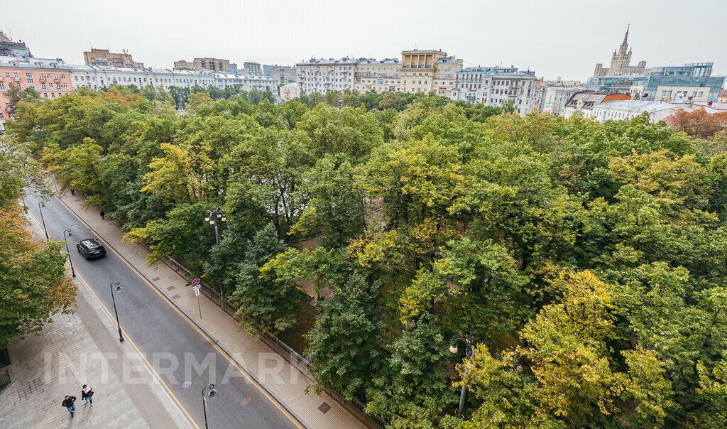 квартира г Москва метро Маяковская ул Бронная М. 38 фото 13