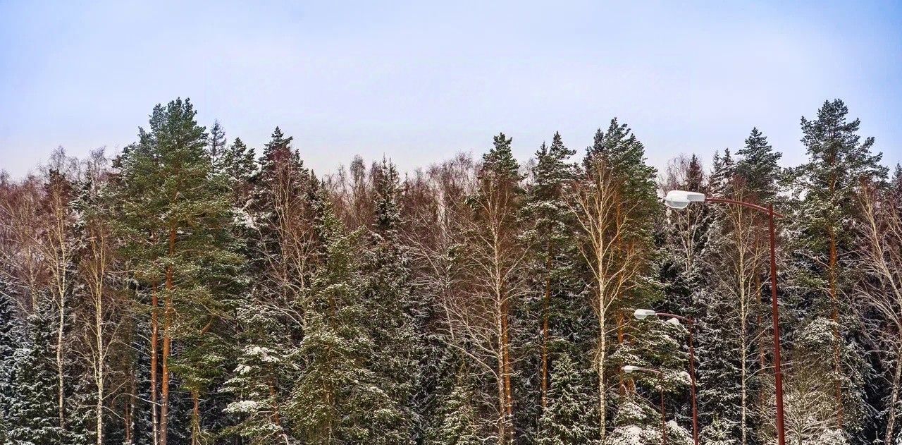 земля городской округ Ступино с Мышенское фото 13